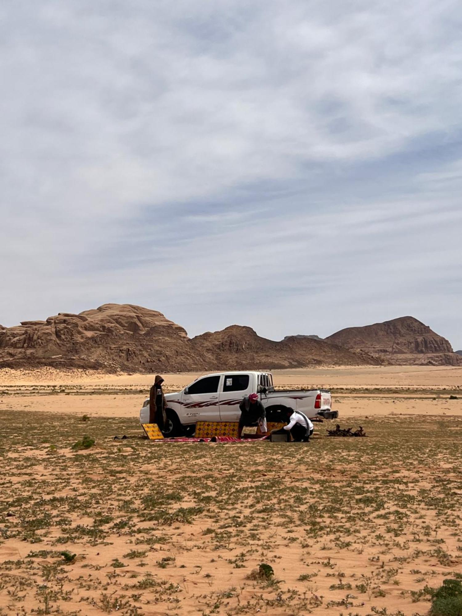 Rum Royal Flower Luxury Camp Wadi Rum Exterior foto